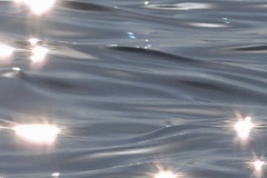 20260906_175449